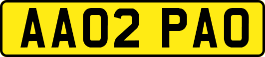 AA02PAO