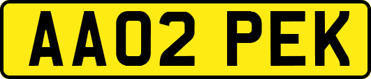 AA02PEK