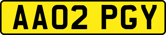 AA02PGY