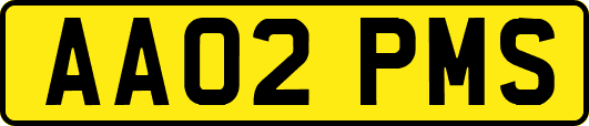 AA02PMS
