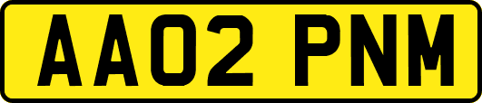 AA02PNM