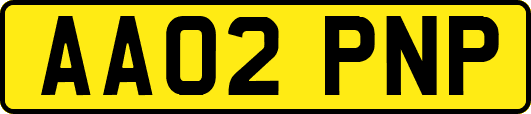 AA02PNP
