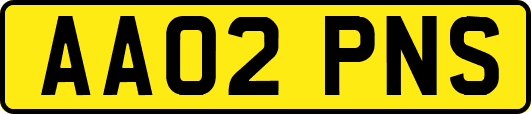 AA02PNS