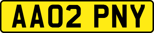 AA02PNY