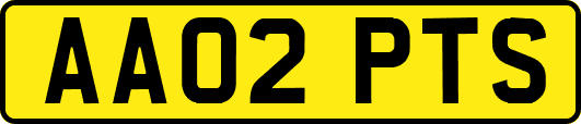 AA02PTS