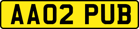 AA02PUB
