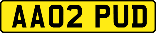 AA02PUD