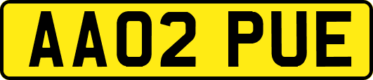 AA02PUE