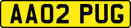 AA02PUG