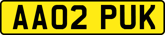 AA02PUK