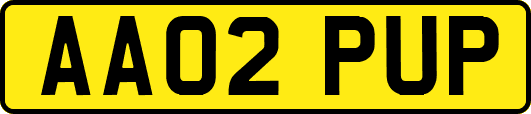 AA02PUP