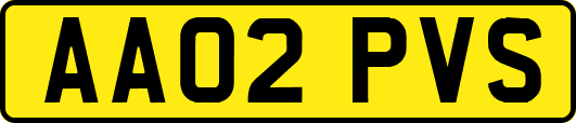 AA02PVS