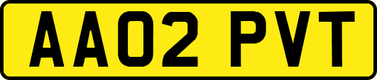 AA02PVT