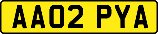 AA02PYA