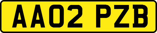 AA02PZB