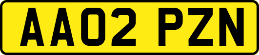 AA02PZN