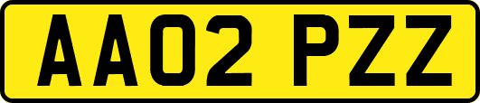 AA02PZZ