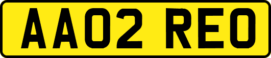 AA02REO