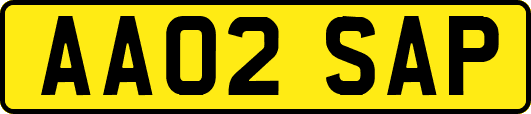 AA02SAP
