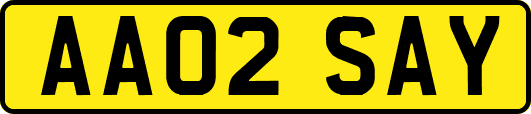 AA02SAY