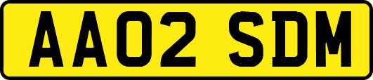 AA02SDM