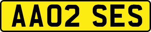 AA02SES