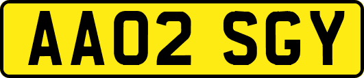 AA02SGY