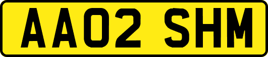 AA02SHM