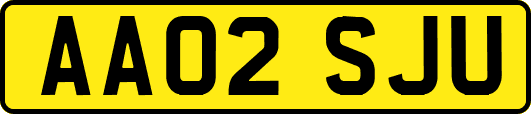 AA02SJU