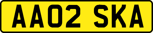 AA02SKA
