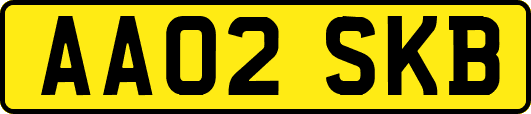 AA02SKB