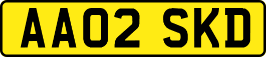 AA02SKD