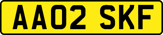 AA02SKF