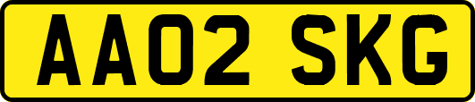 AA02SKG