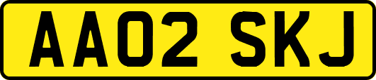 AA02SKJ