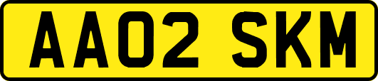 AA02SKM