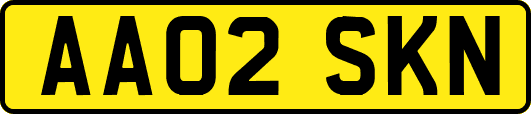 AA02SKN