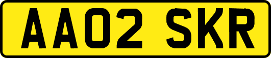 AA02SKR