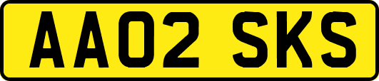 AA02SKS