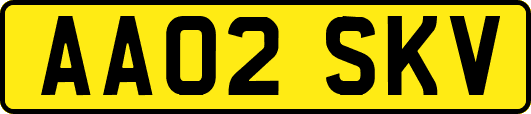 AA02SKV