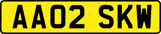 AA02SKW