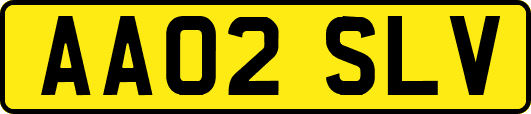 AA02SLV
