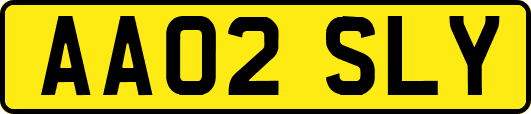 AA02SLY