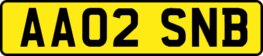 AA02SNB