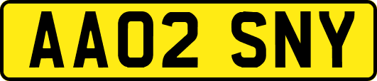 AA02SNY