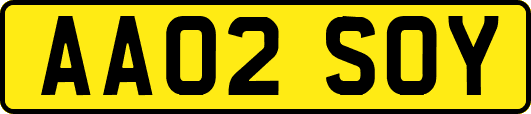 AA02SOY