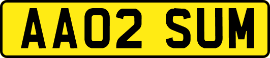 AA02SUM