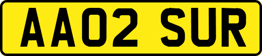 AA02SUR
