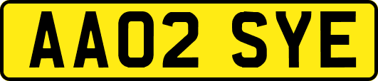 AA02SYE
