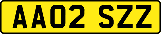AA02SZZ